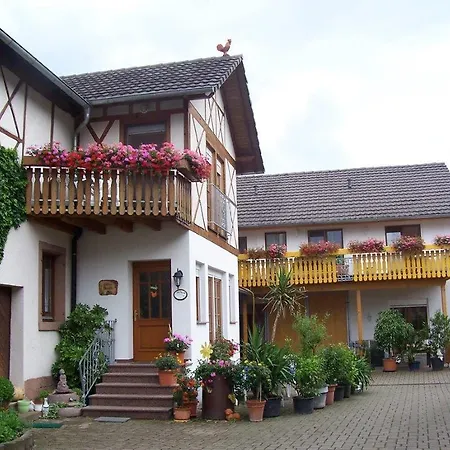 Apartment Meyerhof Schwanau Exterior photo